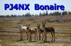 PJ4NX Image